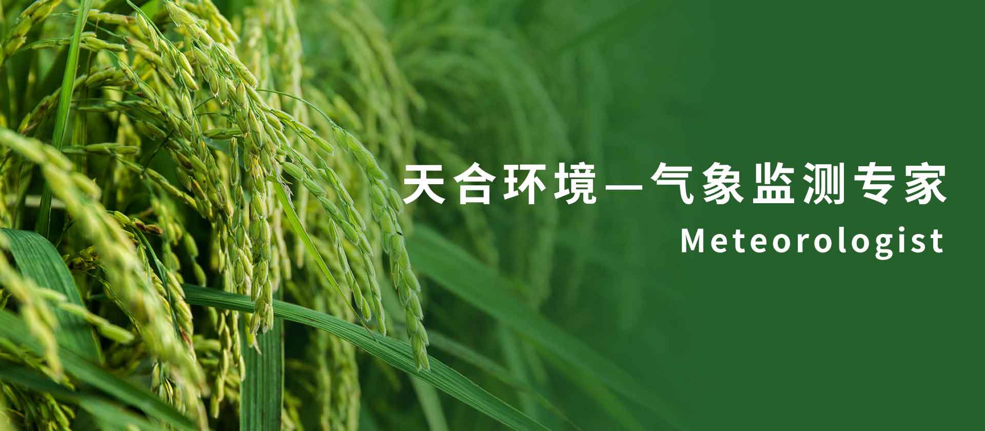 农业气象站-最新黑料门入口：抖音纸相册黑料及今日吃瓜热搜